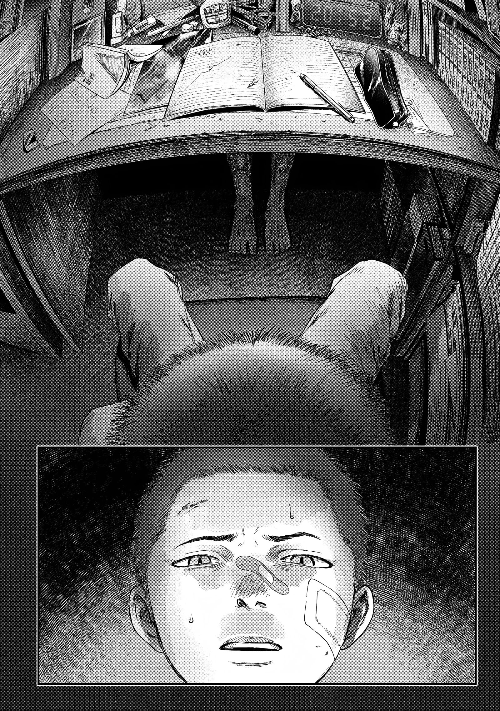 Read The Summer Hikaru Died (en) Manga Online