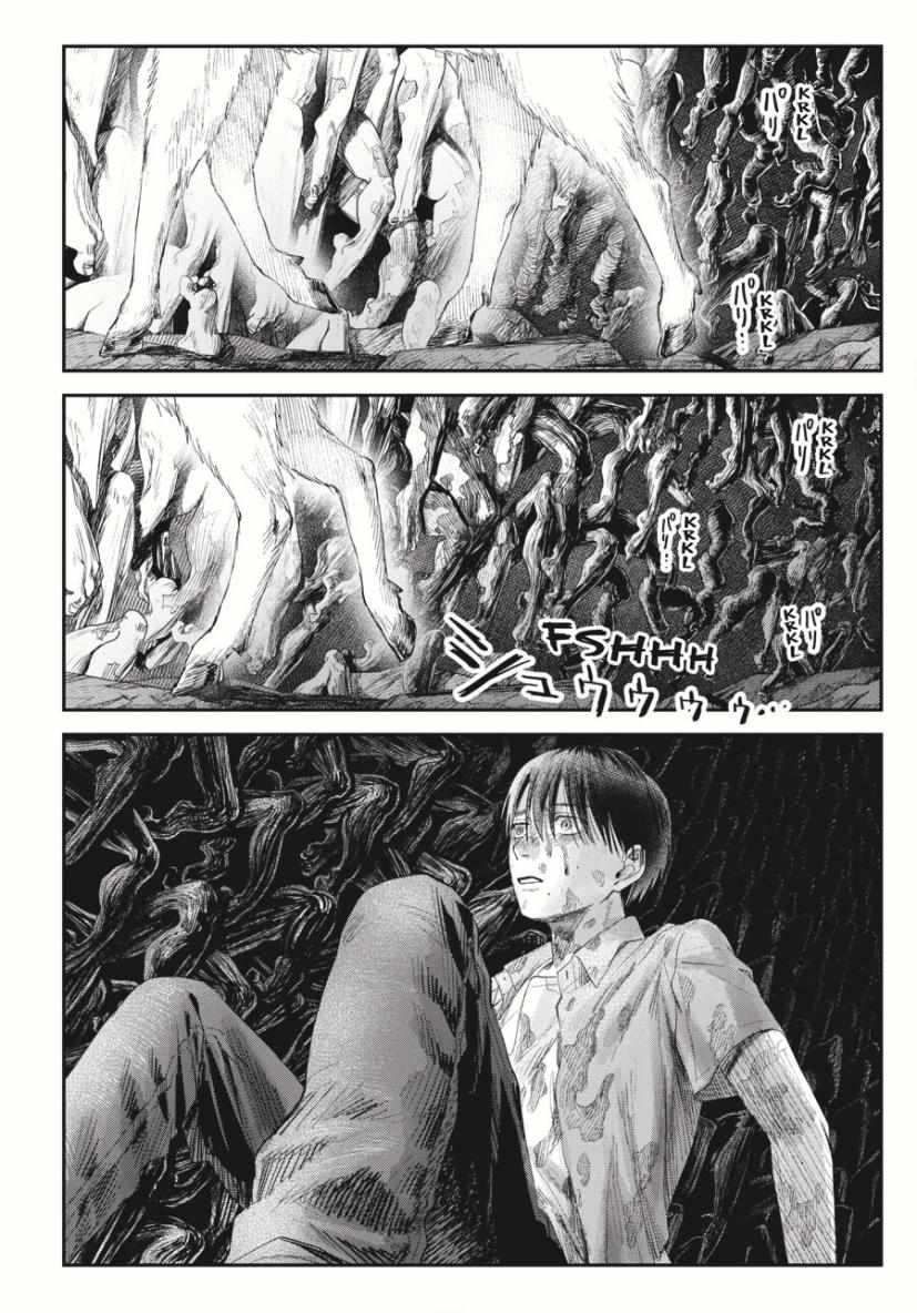 Read The Summer Hikaru Died (en) Manga Online