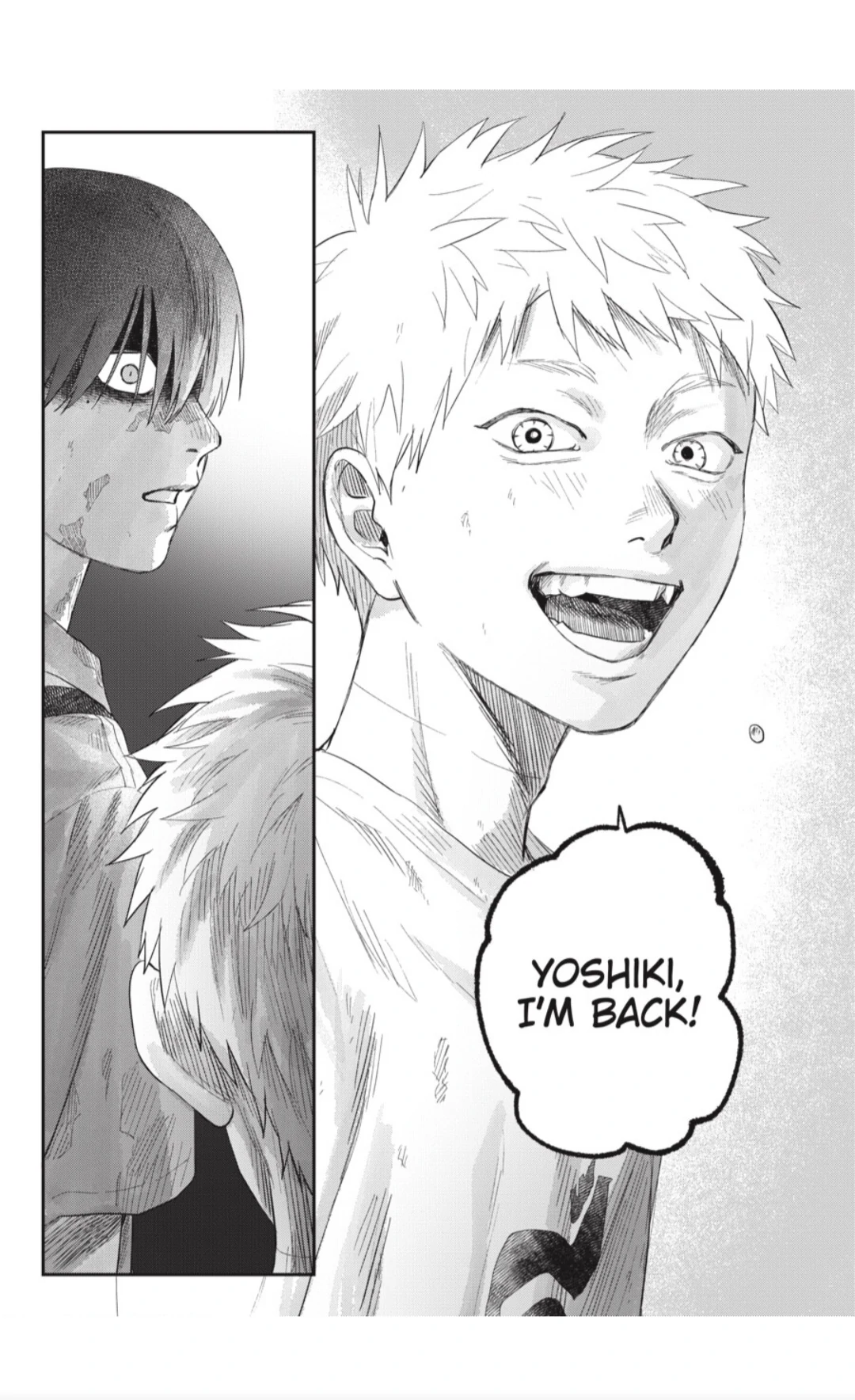 Read The Summer Hikaru Died (en) Manga Online