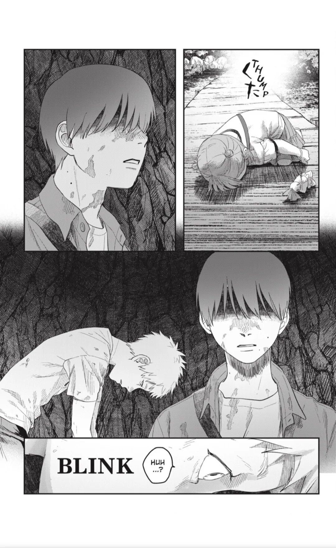 Read The Summer Hikaru Died (en) Manga Online