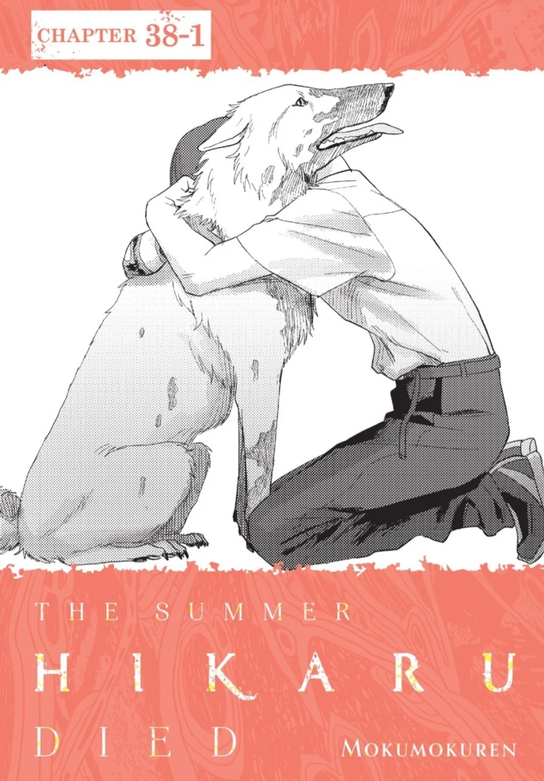 Read The Summer Hikaru Died (en) Manga Online
