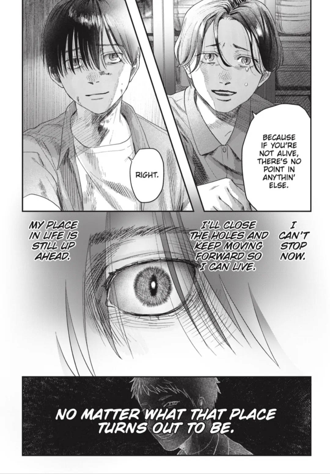 Read The Summer Hikaru Died (en) Manga Online