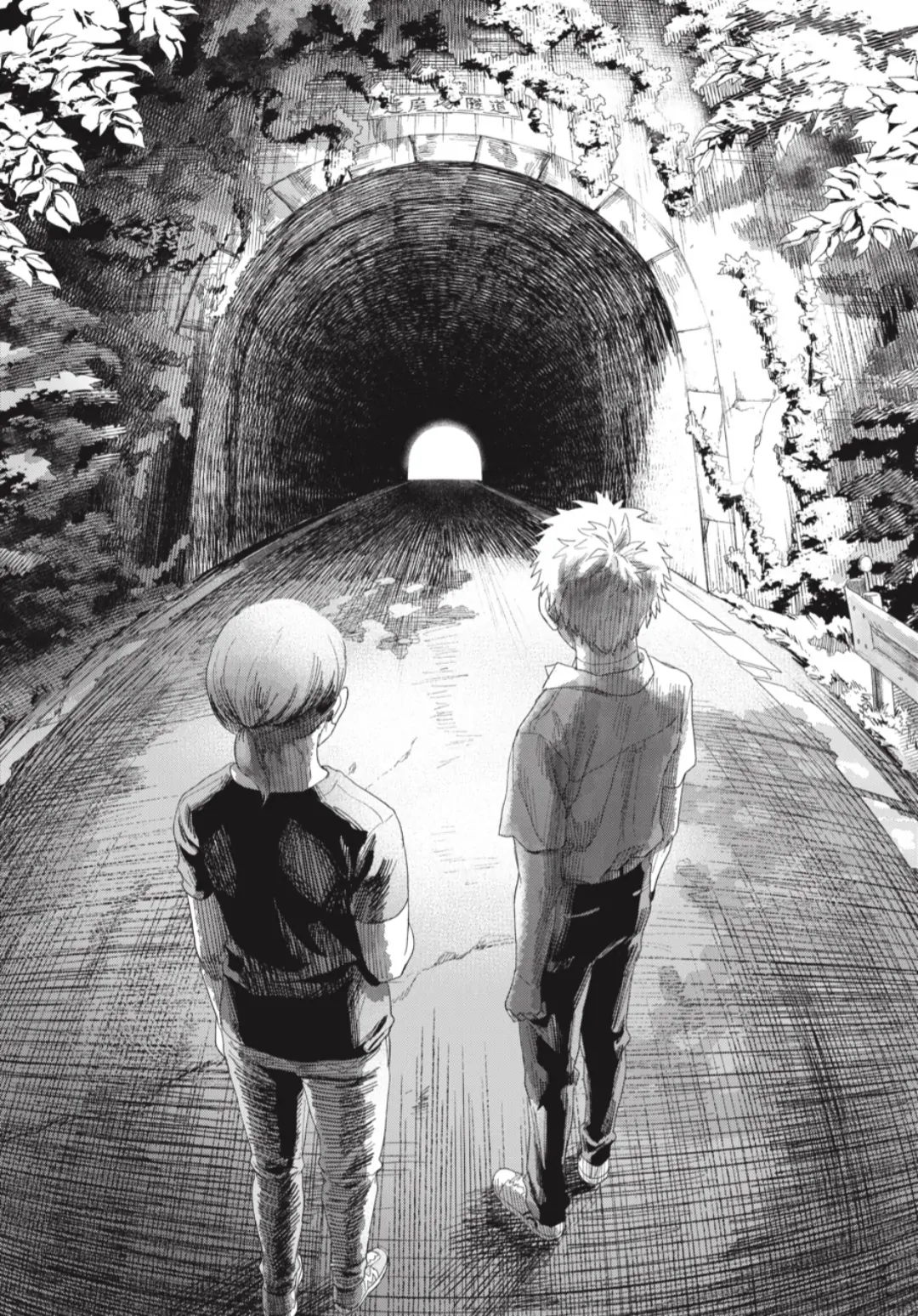 Read The Summer Hikaru Died (en) Manga Online