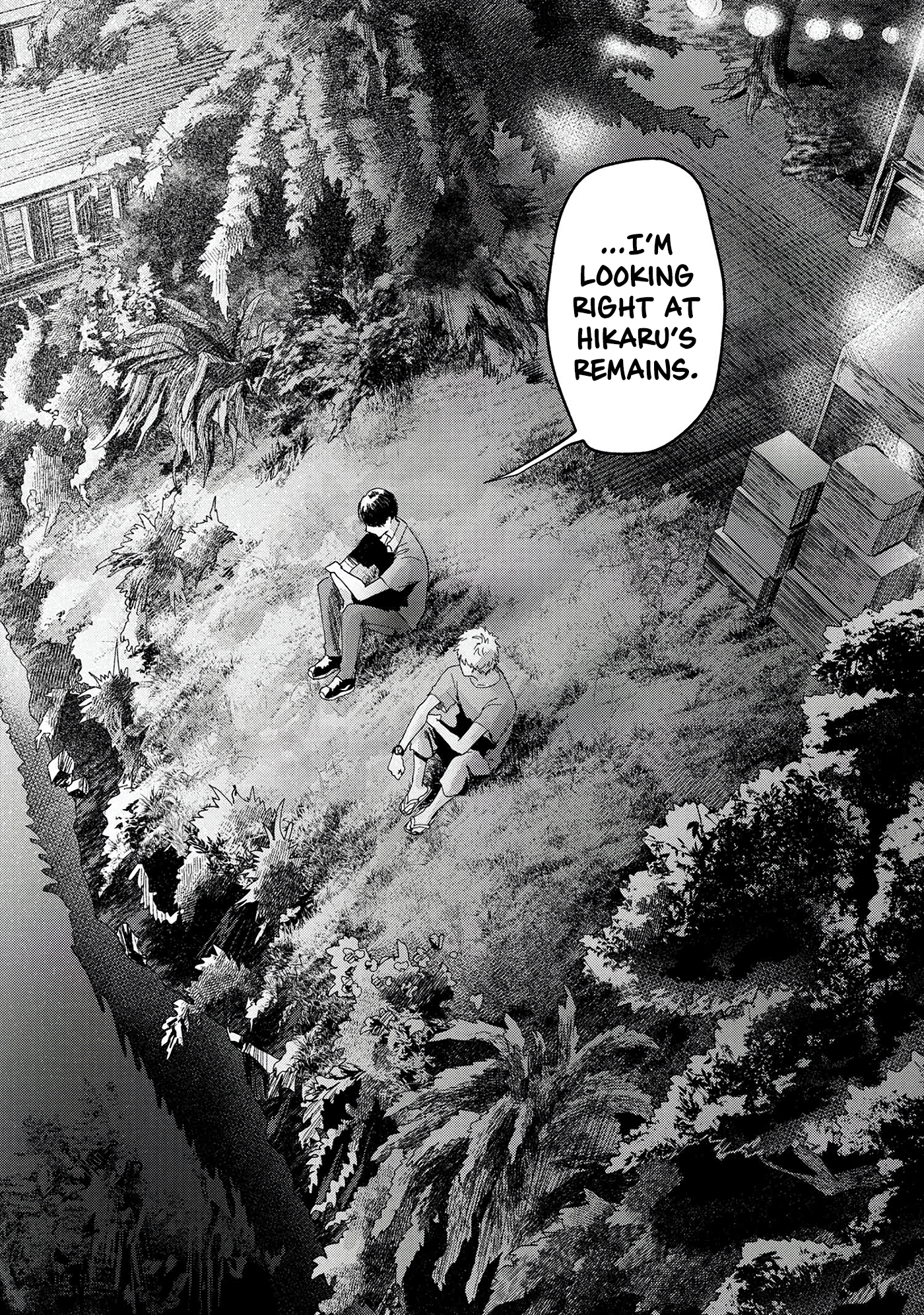 Read The Summer Hikaru Died (en) Manga Online