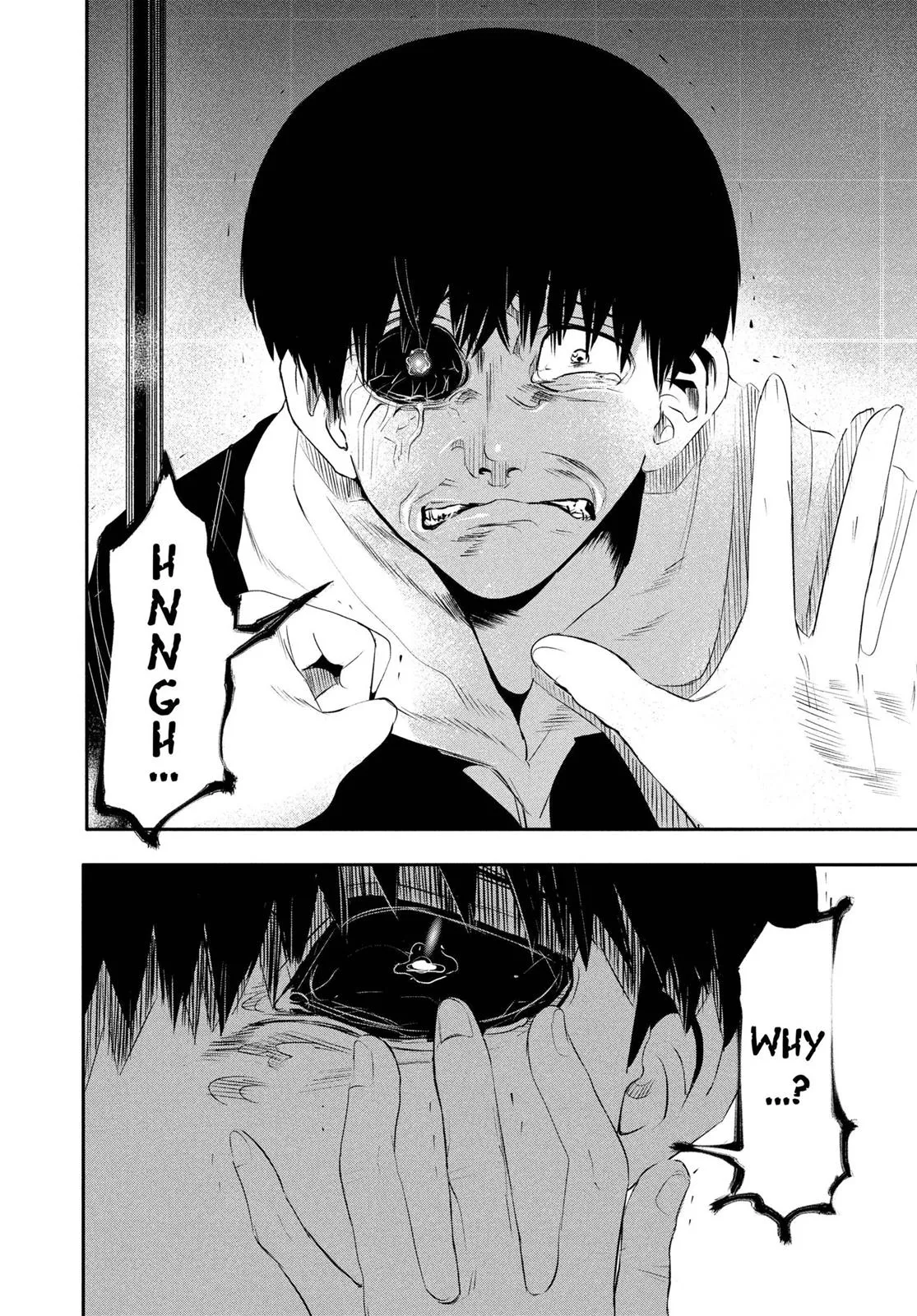 Read Tokyo Ghoul (en) Manga Online