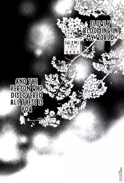 Read Tsubaki-chou Lonely Planet (en) Manga Online