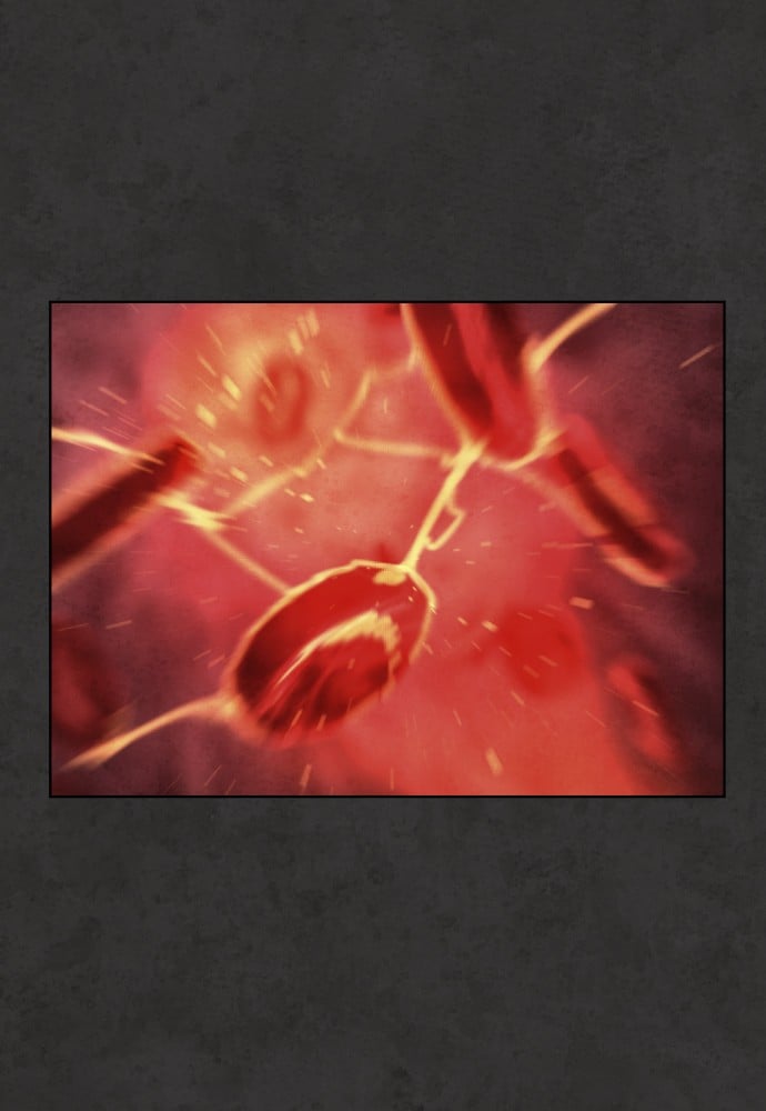 Read Unholy Blood (en) Manga Online