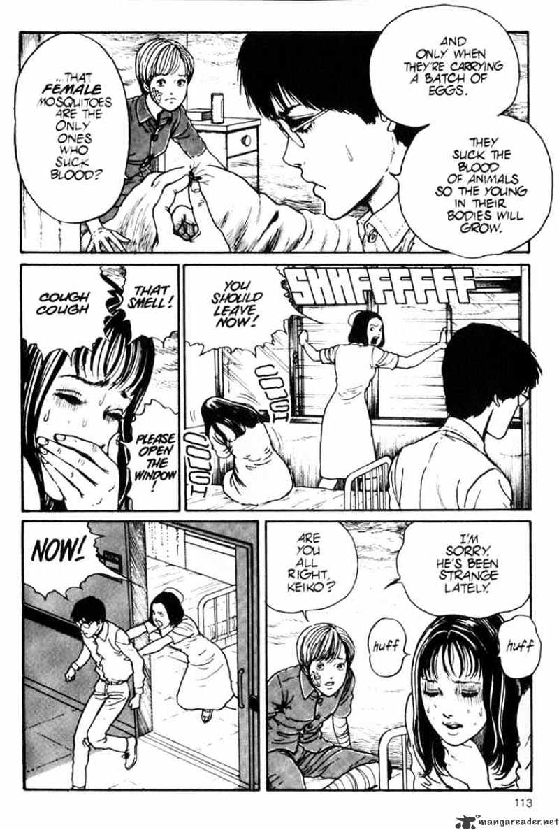 Read Uzumaki (en) Manga Online