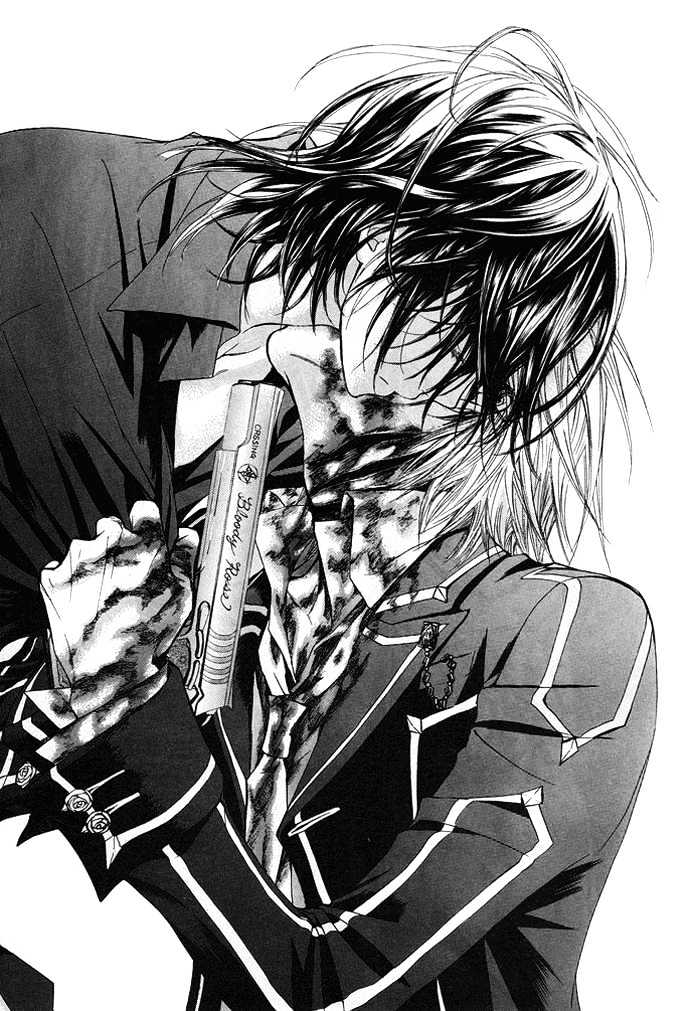 Read Vampire Knight (en) Manga Online