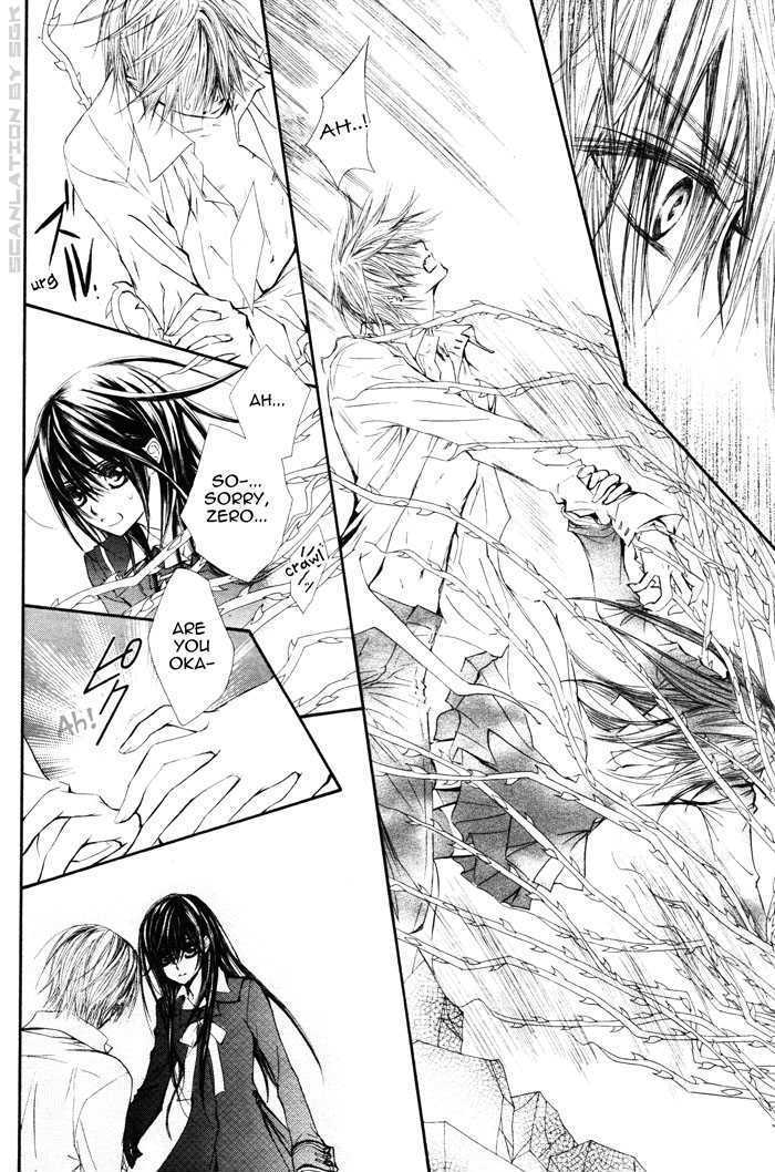 Read Vampire Knight (en) Manga Online