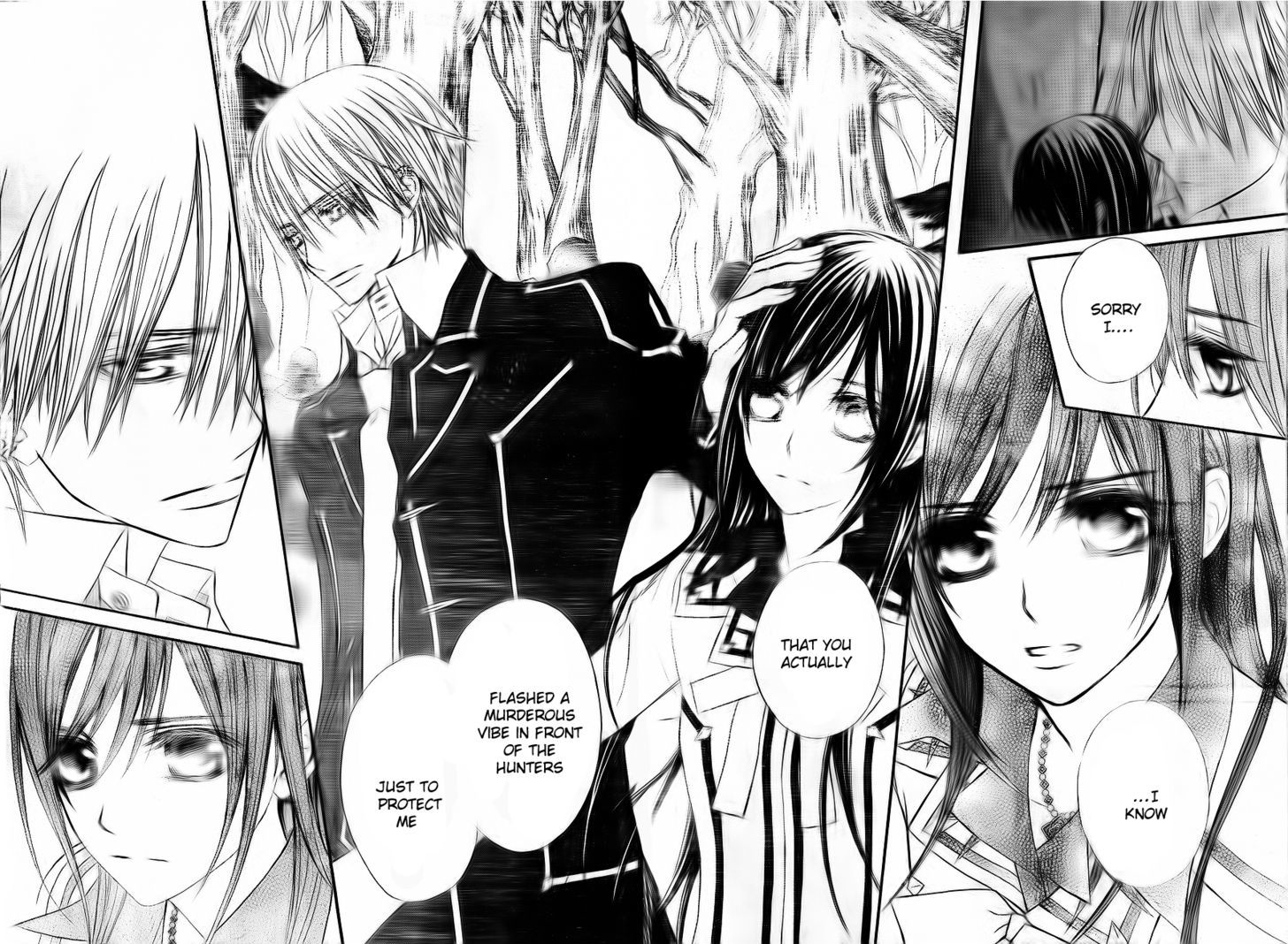 Read Vampire Knight (en) Manga Online