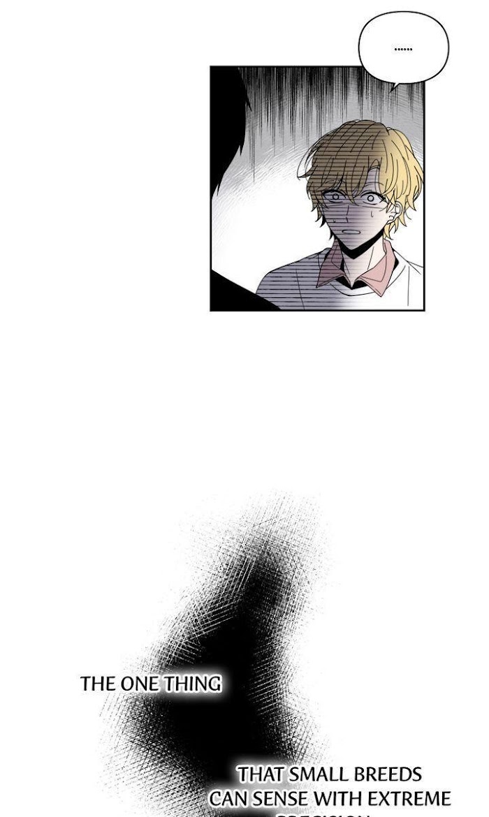 Read Wild Idols (en) Manga Online