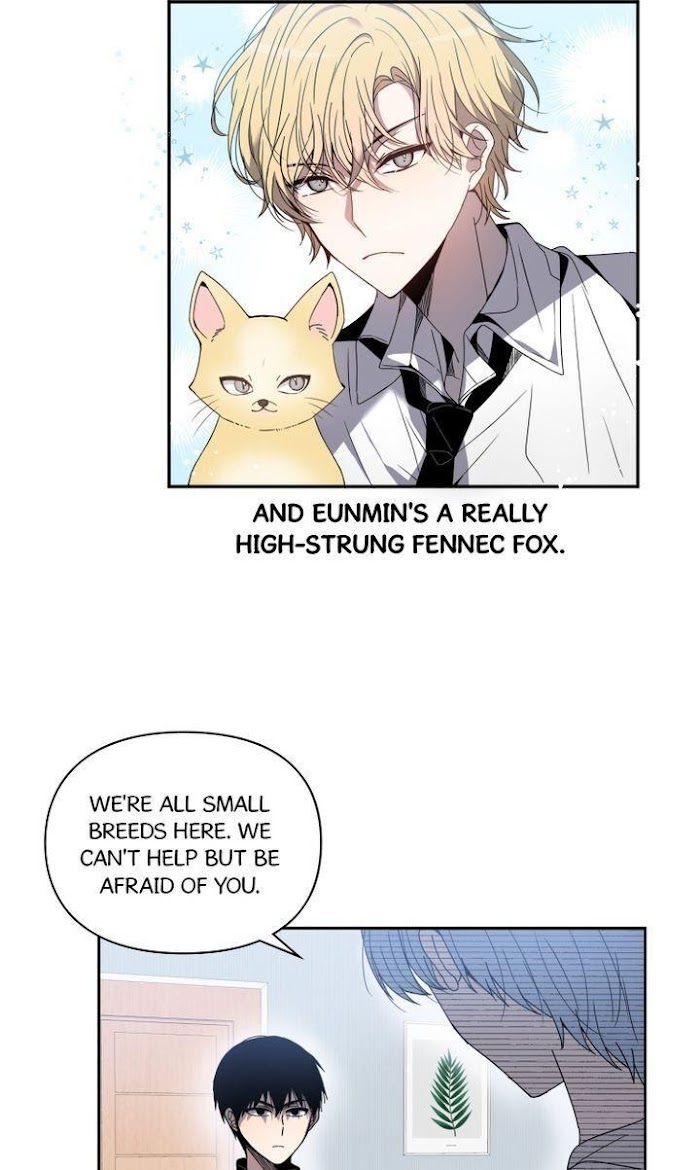 Read Wild Idols (en) Manga Online