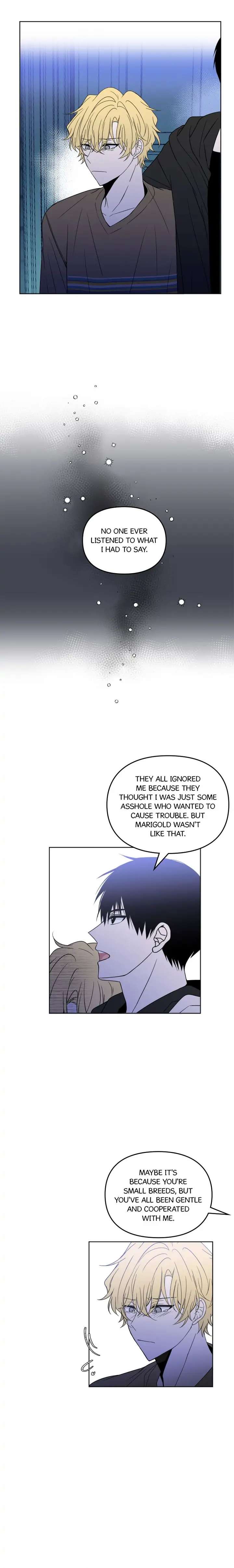 Read Wild Idols (en) Manga Online