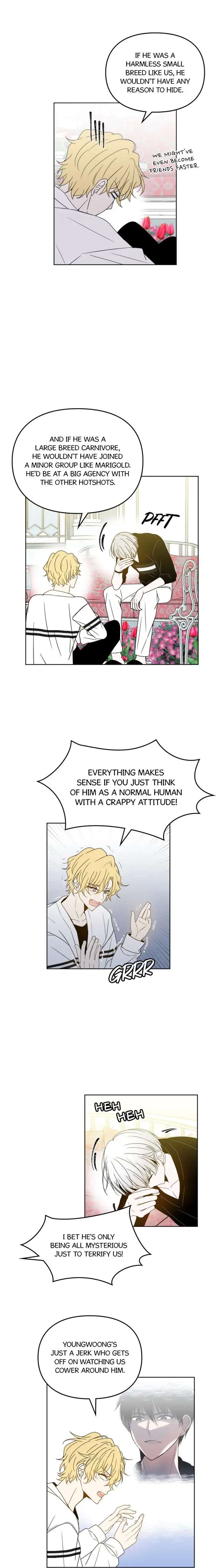 Read Wild Idols Manga Online