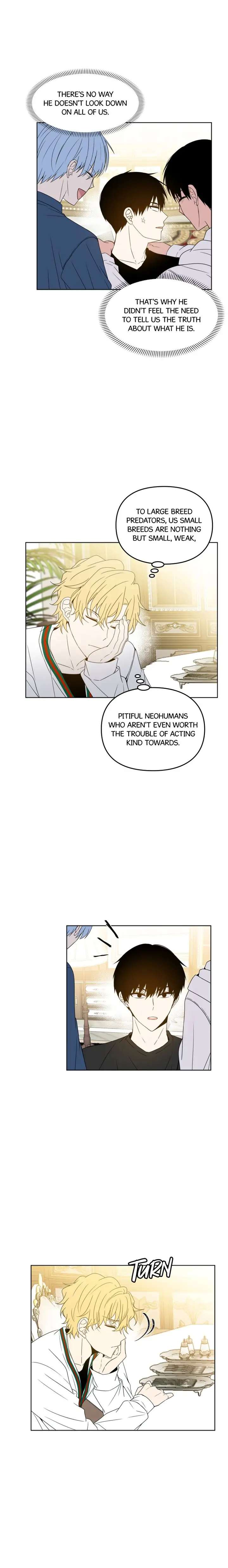 Read Wild Idols Manga Online