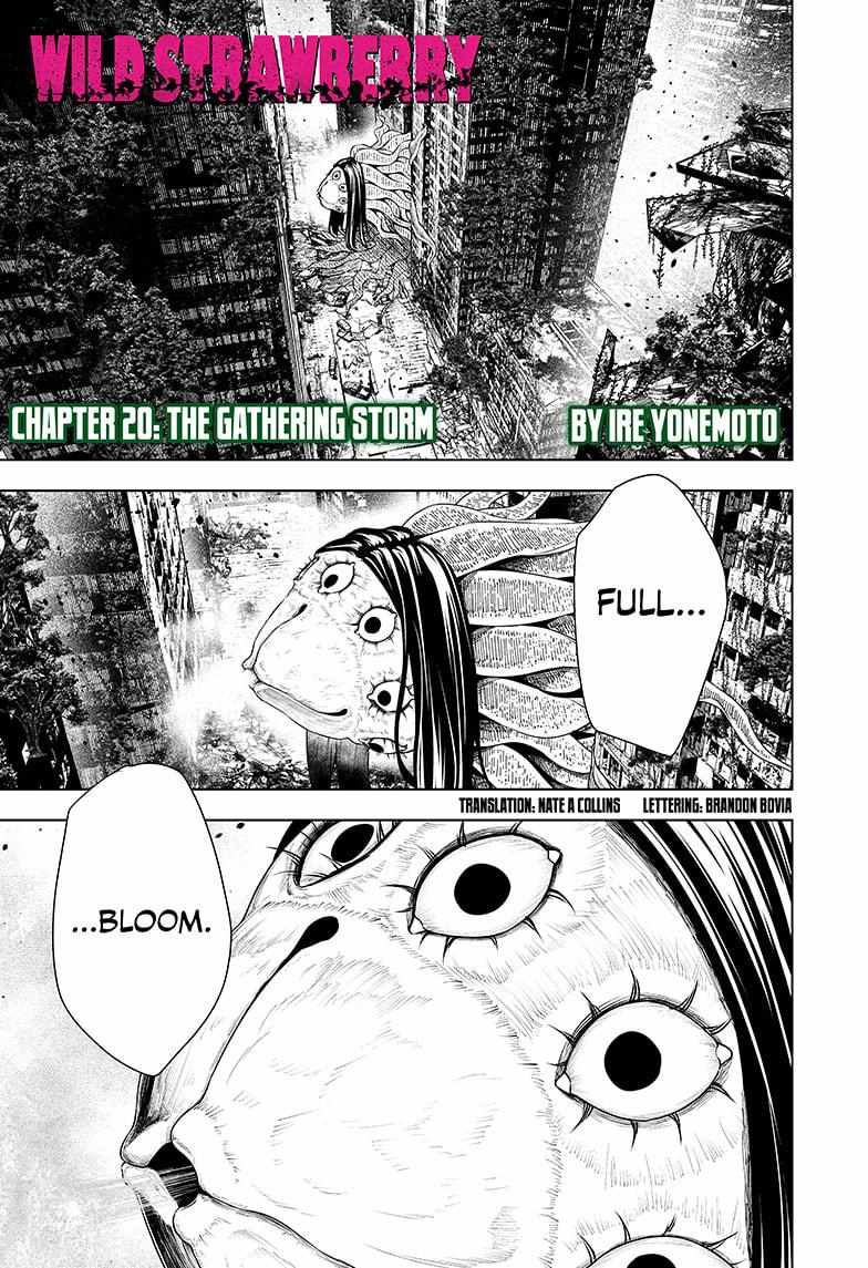 Read Wild Strawberry (en) Manga Online