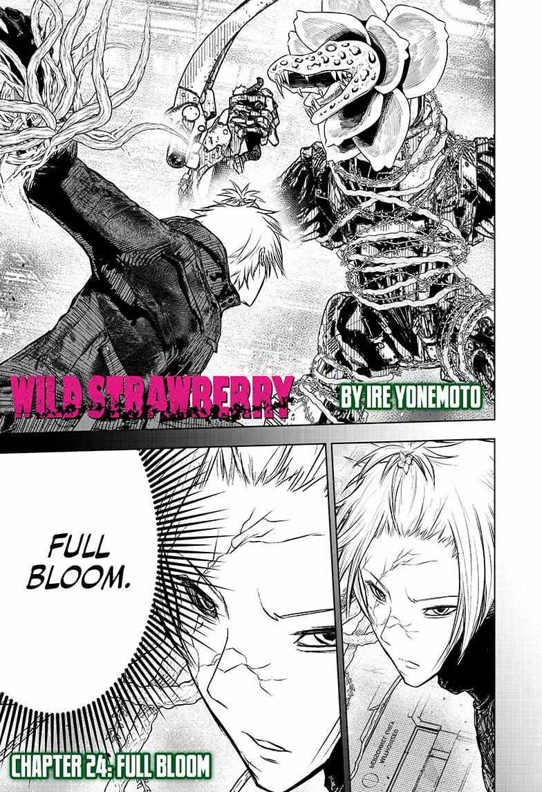 Read Wild Strawberry (en) Manga Online