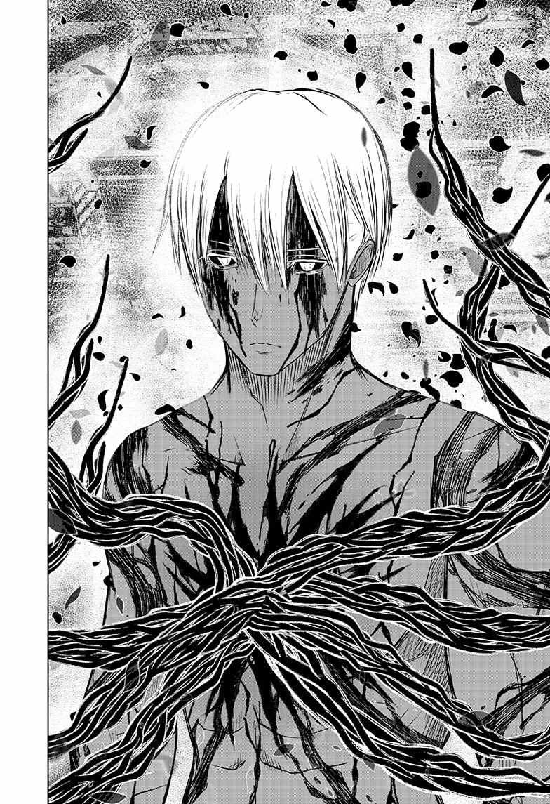 Read Wild Strawberry (en) Manga Online