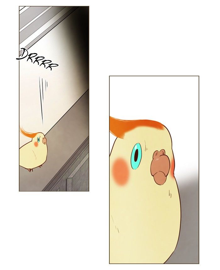 Read Winter Woods (en) Manga Online