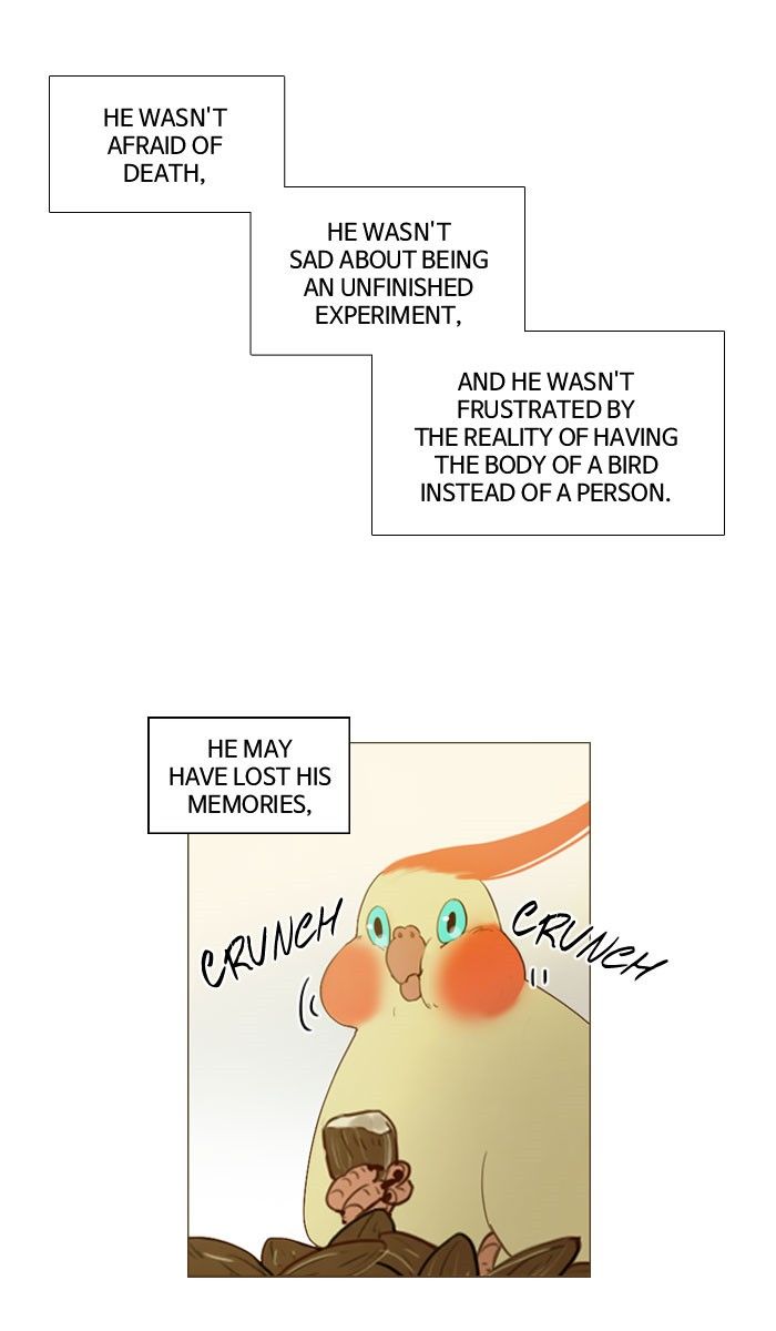 Read Winter Woods (en) Manga Online