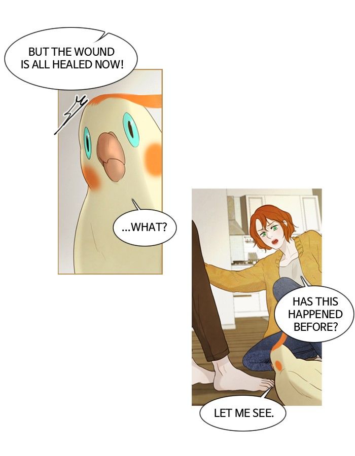 Read Winter Woods (en) Manga Online