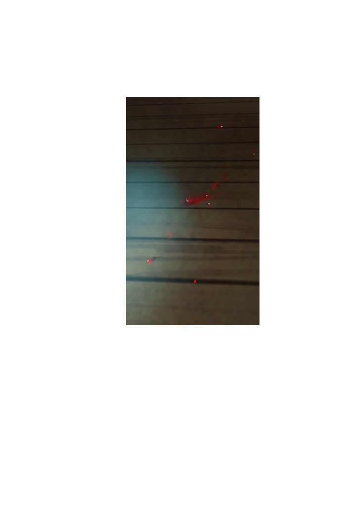 Read Winter Woods (en) Manga Online