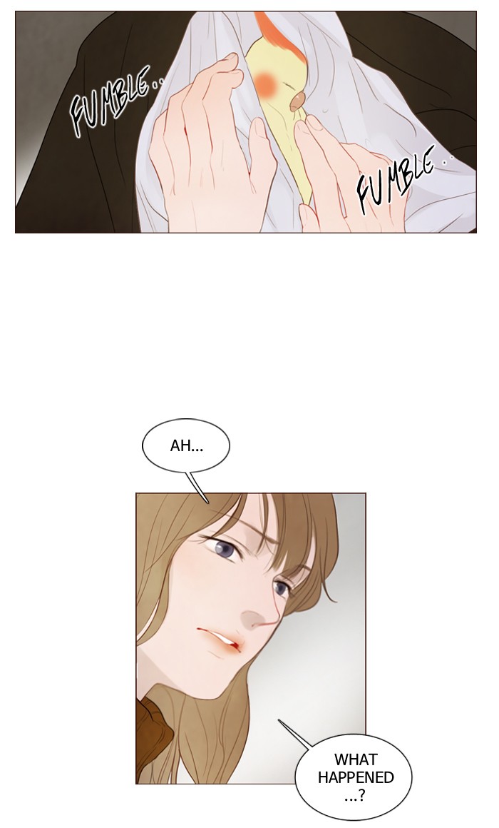 Read Winter Woods (en) Manga Online