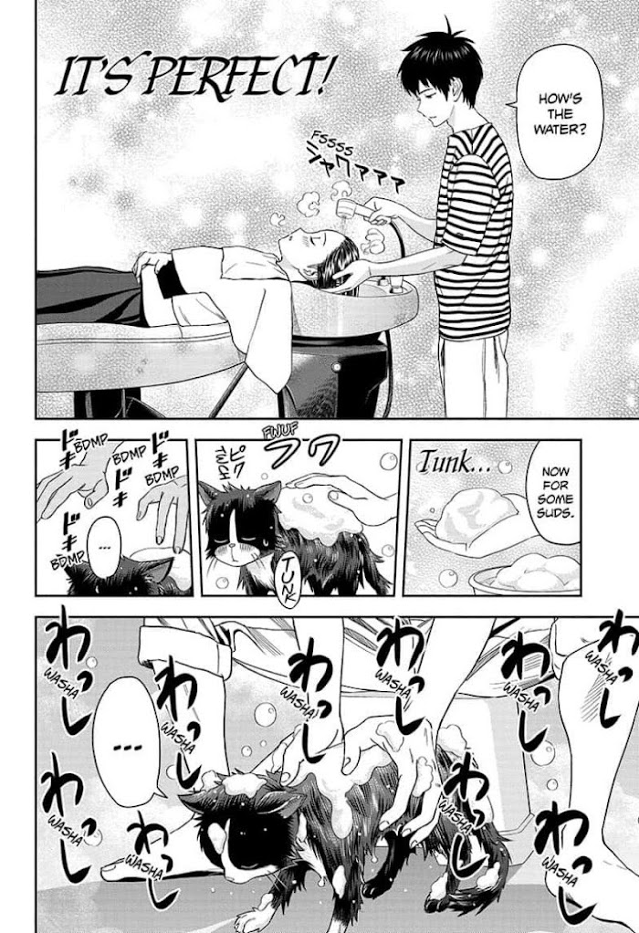 Read Witch Watch (en) Manga Online