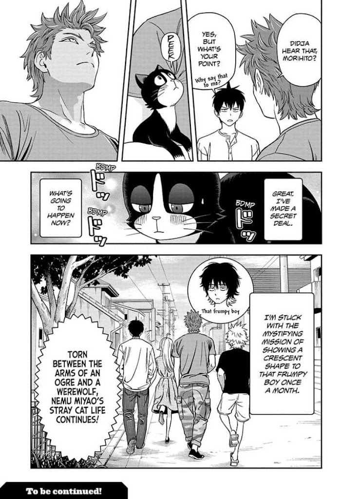 Read Witch Watch (en) Manga Online