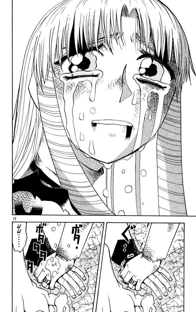 Read Zatch Bell! (en) Manga Online