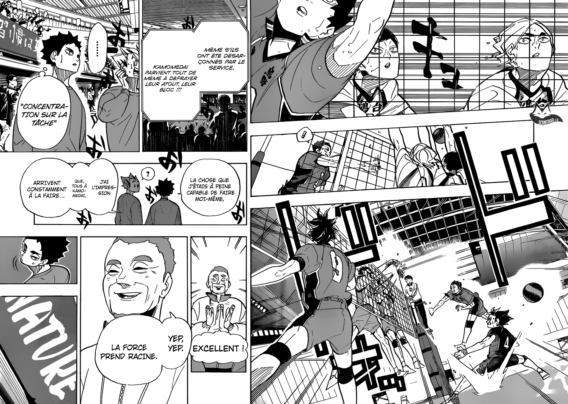 Read Haikyu (fr) Manga Online