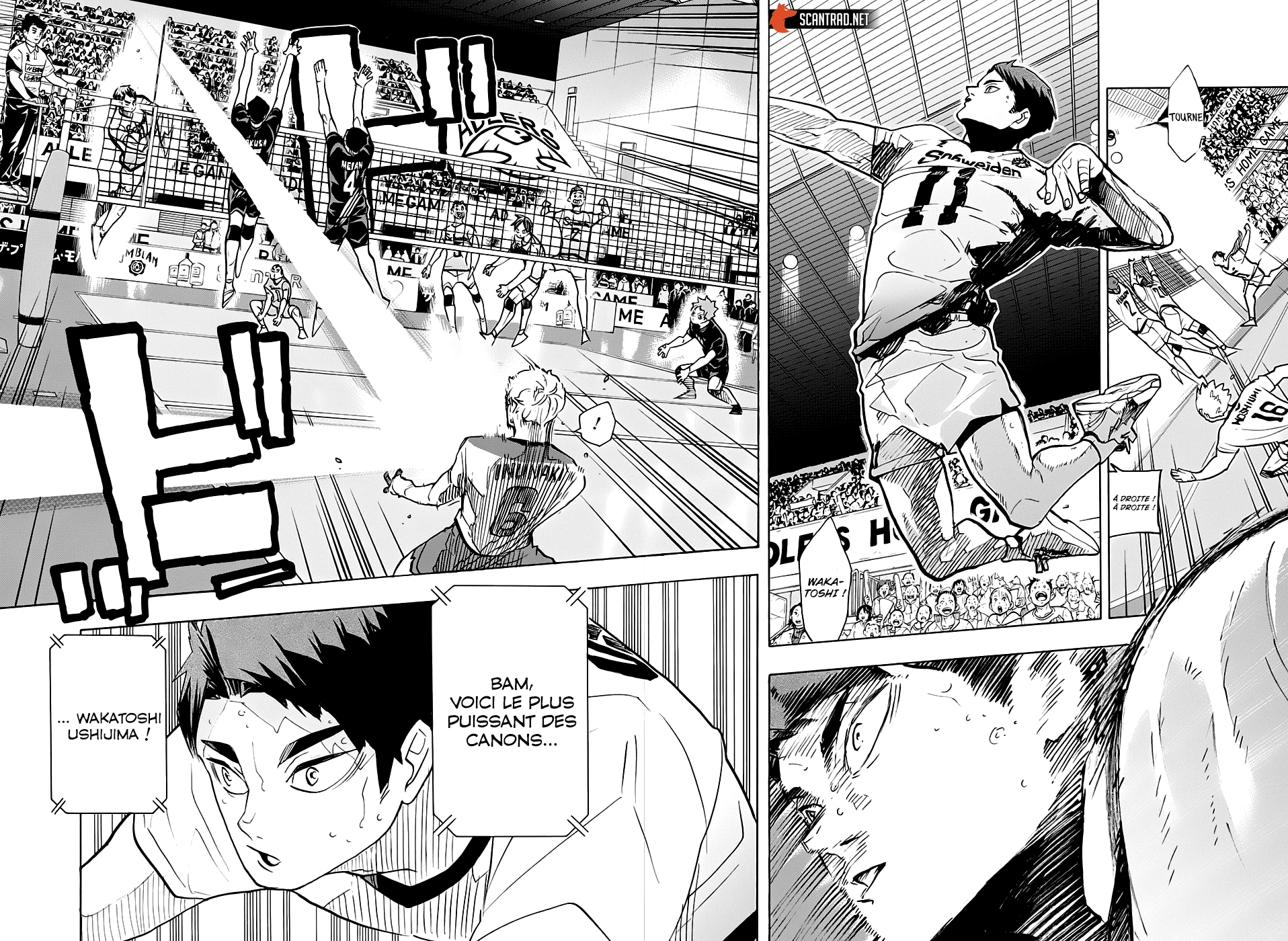 Read Haikyu (fr) Manga Online