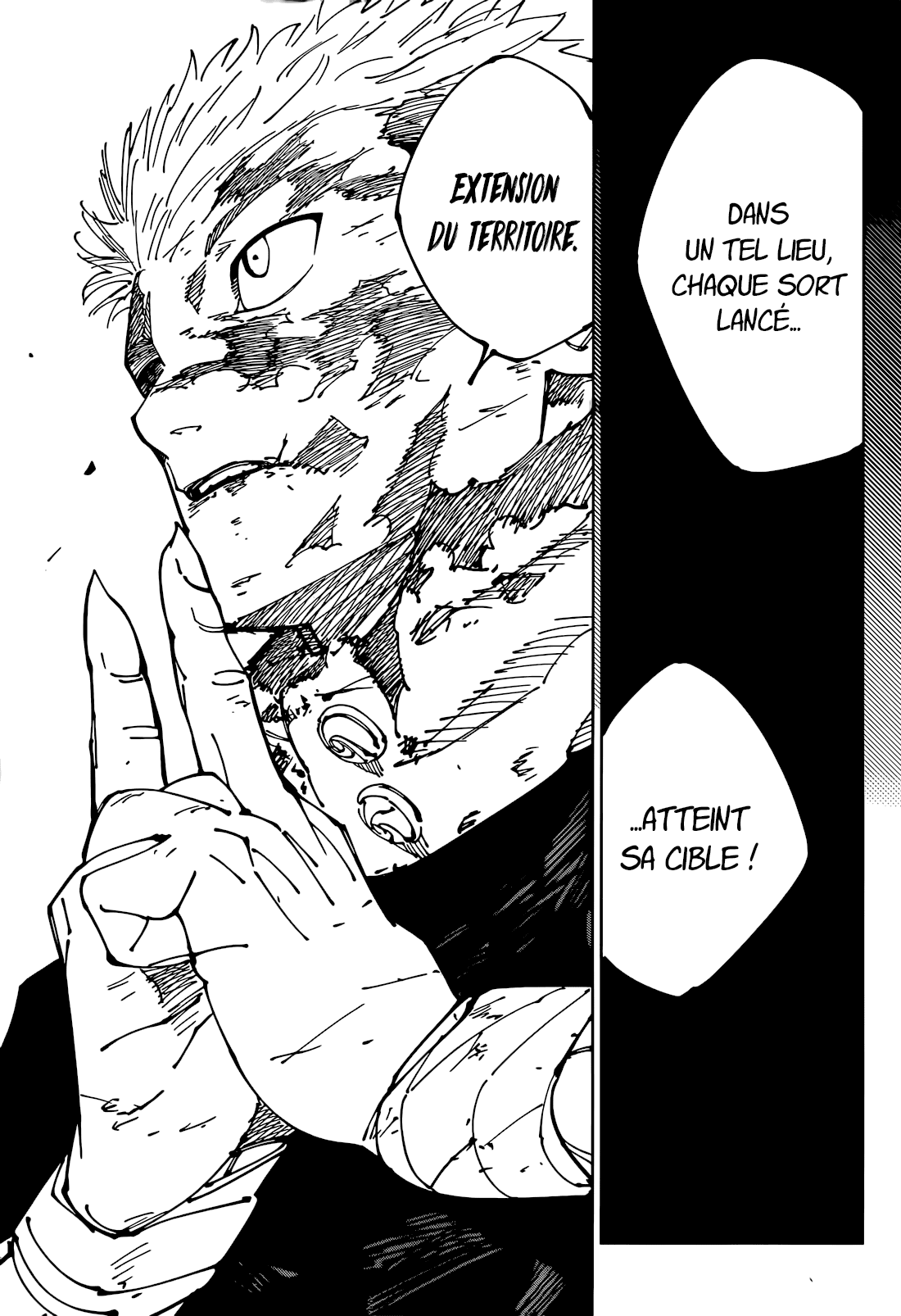 Read Jujutsu Kaisen (fr) Manga Online