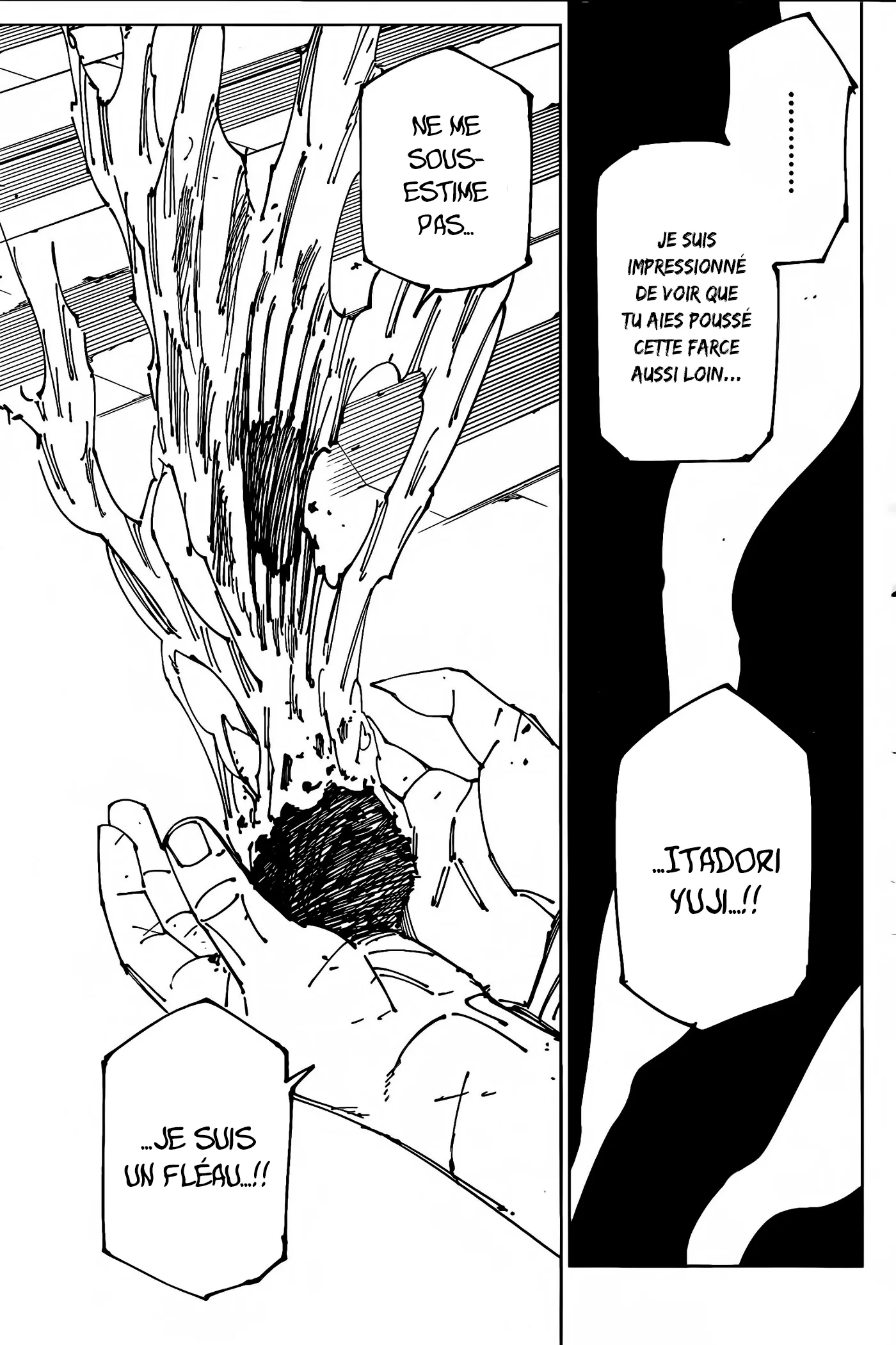 Read Jujutsu Kaisen (fr) Manga Online