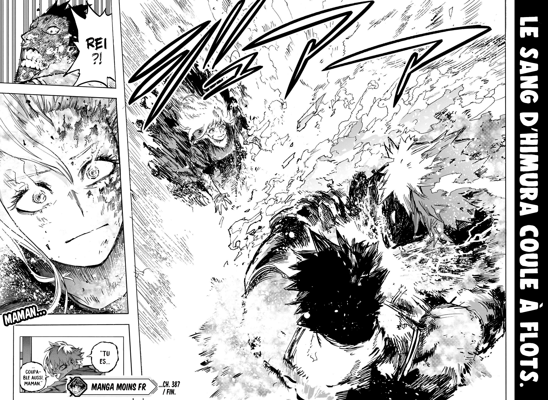 Read My Hero Academia (fr) Manga Online