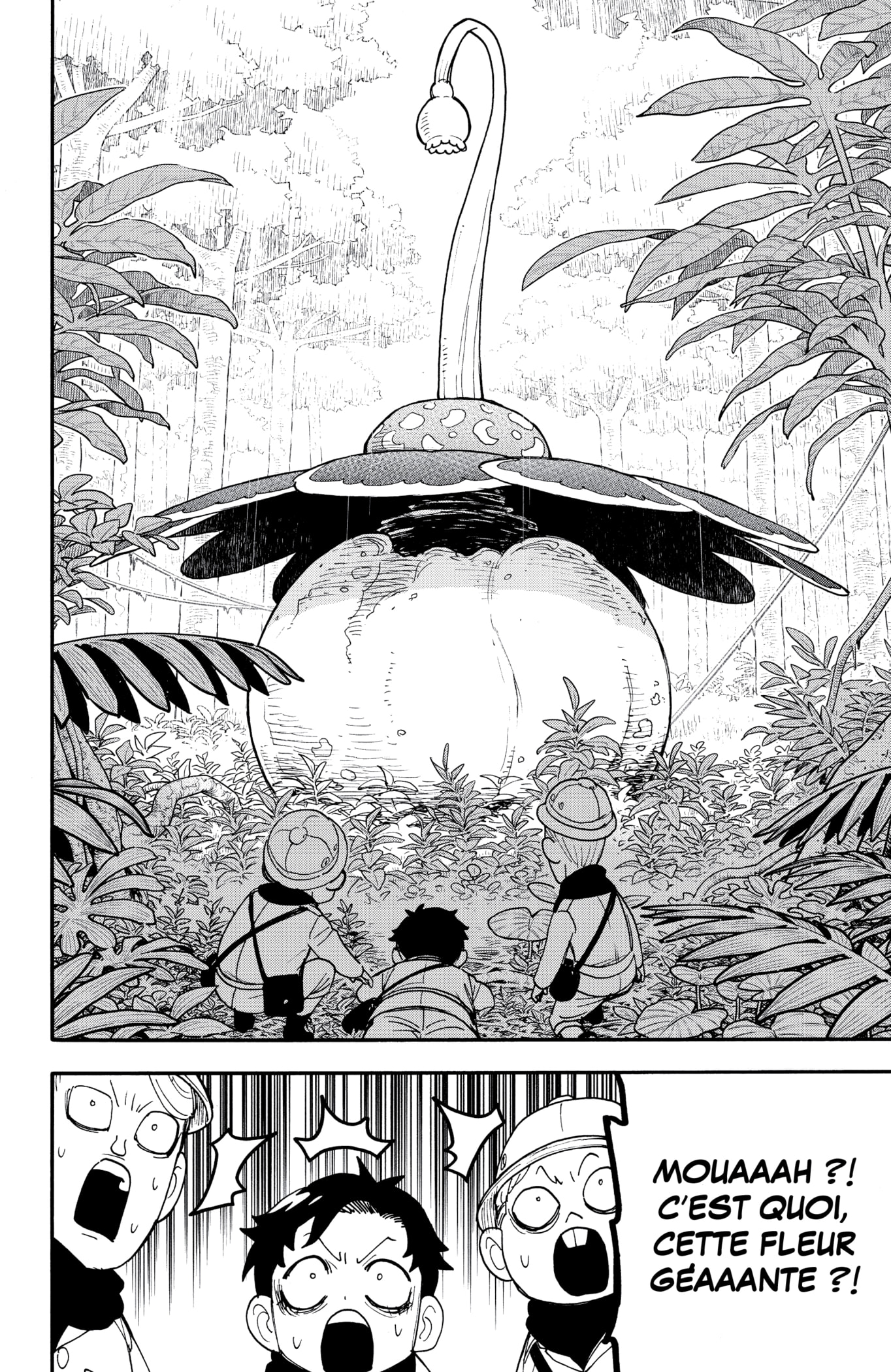 Read SPY×FAMILY (fr) Manga Online