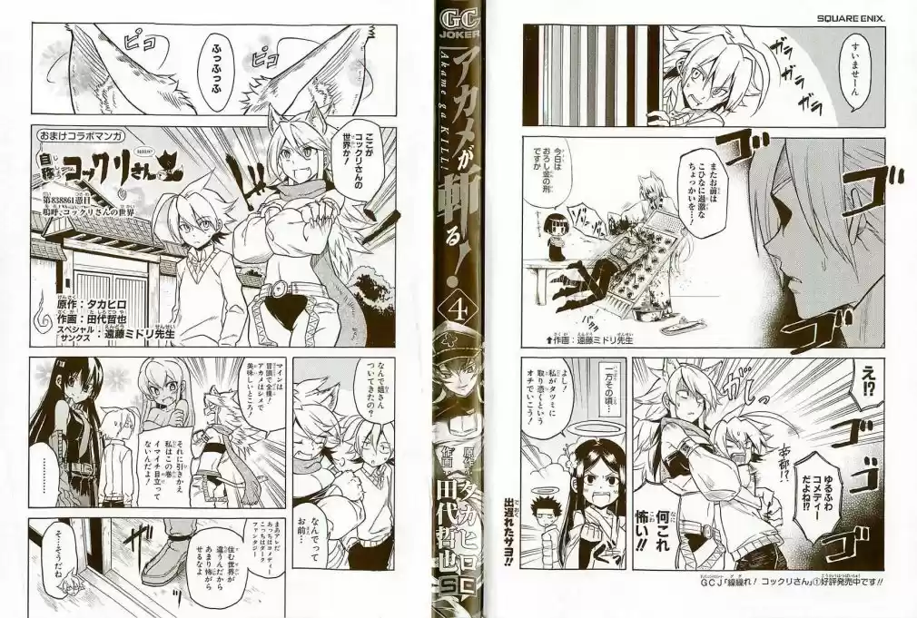 Read Akame ga Kill (pt) Manga Online