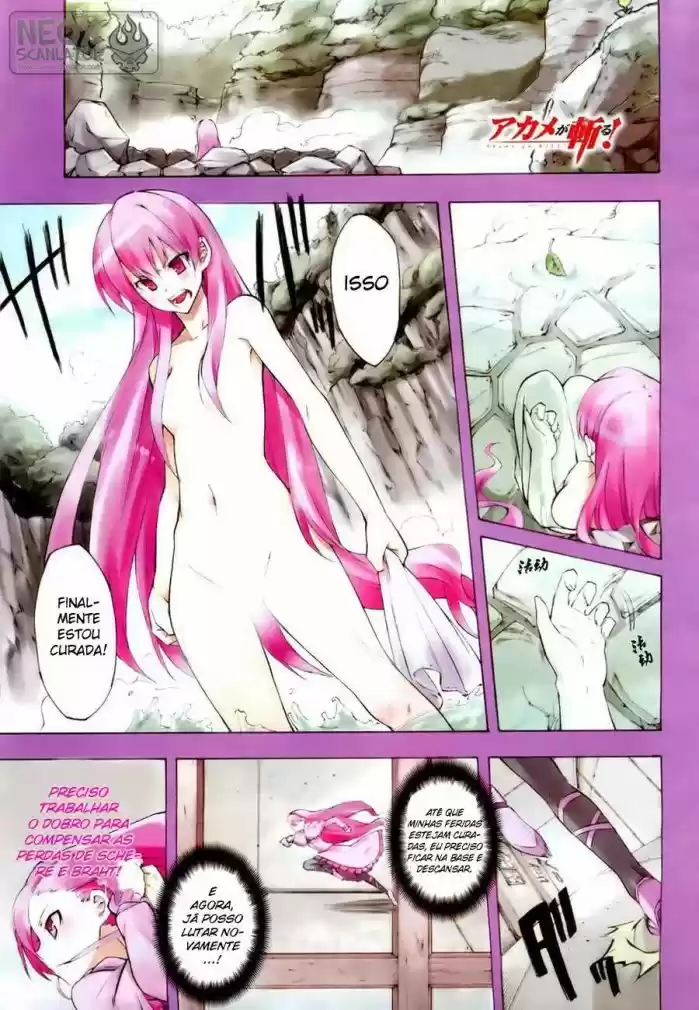 Read Akame ga Kill (pt) Manga Online