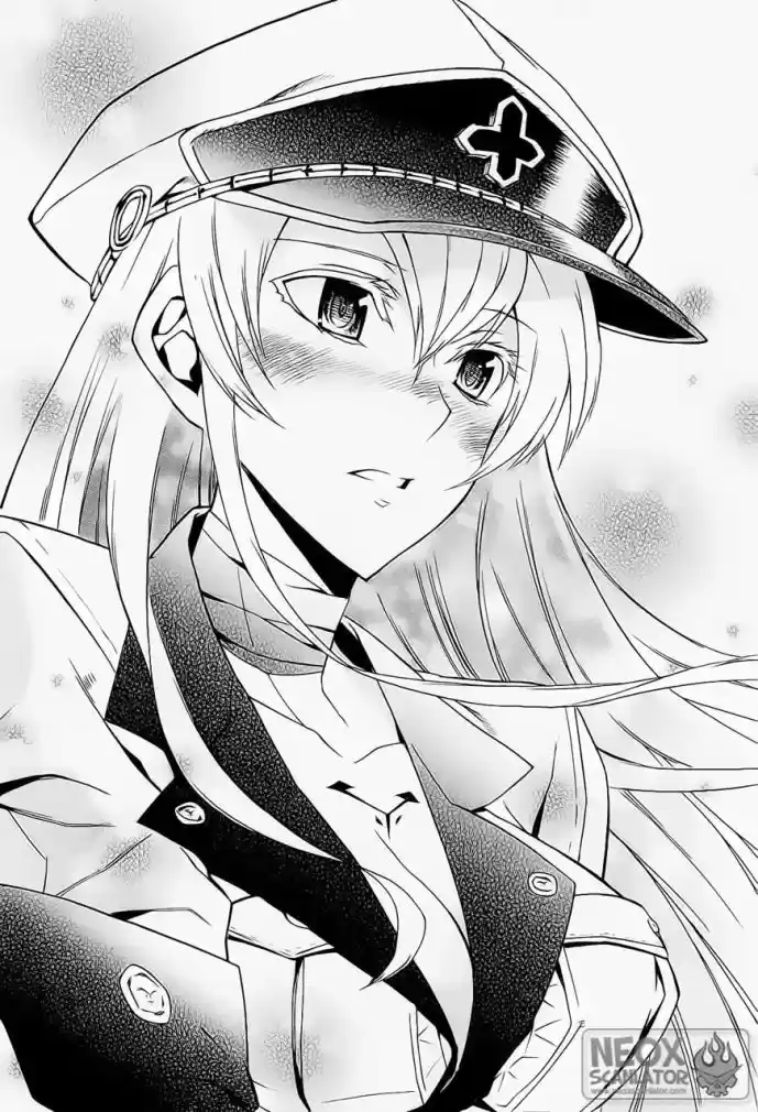 Read Akame ga Kill (pt) Manga Online