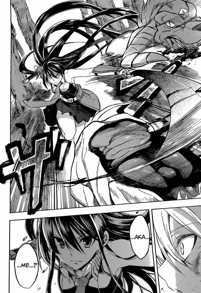 Read Akame ga Kill (pt) Manga Online
