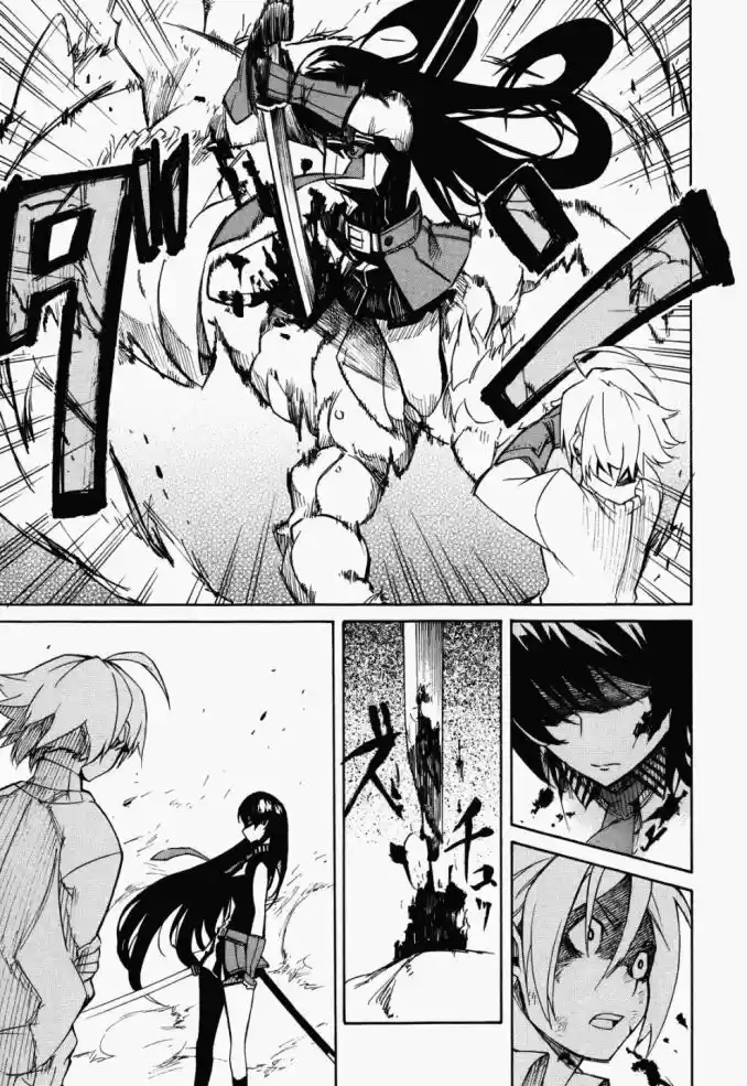 Read Akame ga Kill (pt) Manga Online