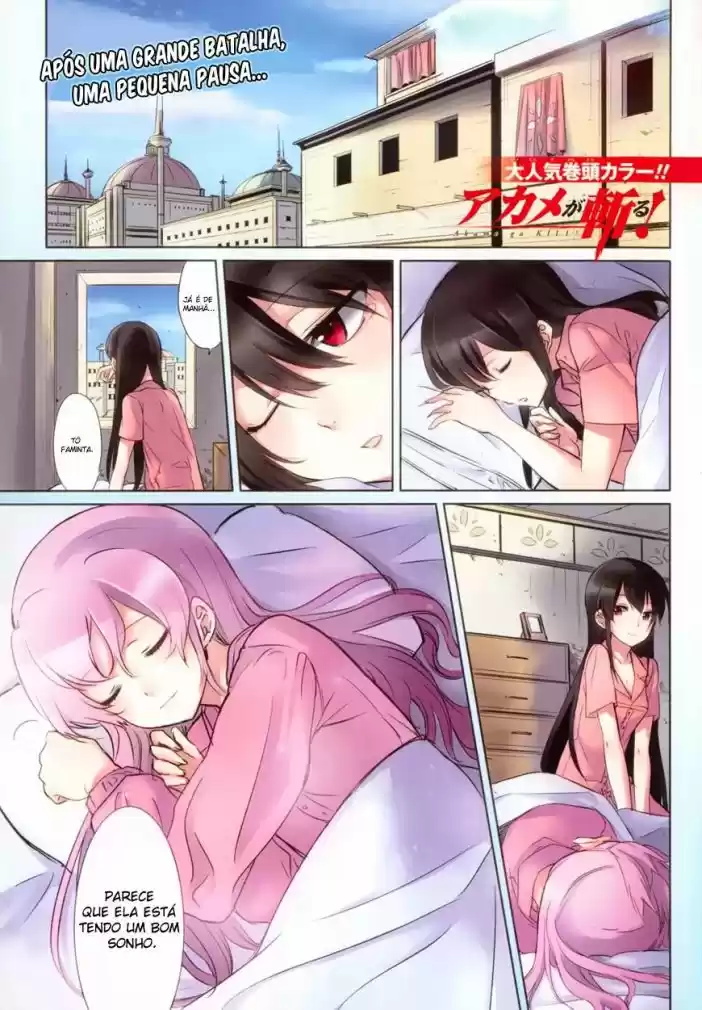 Read Akame ga Kill (pt) Manga Online