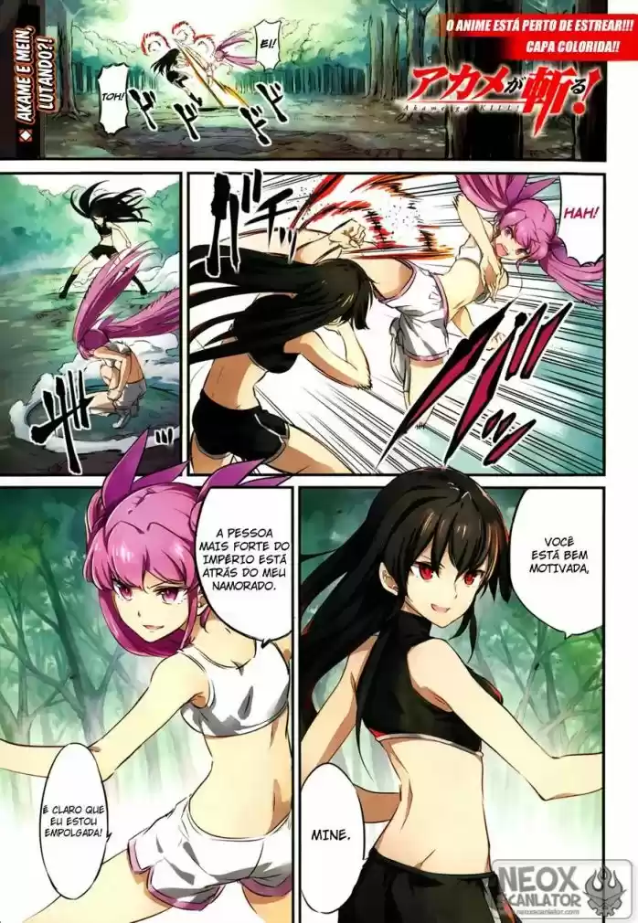 Read Akame ga Kill (pt) Manga Online