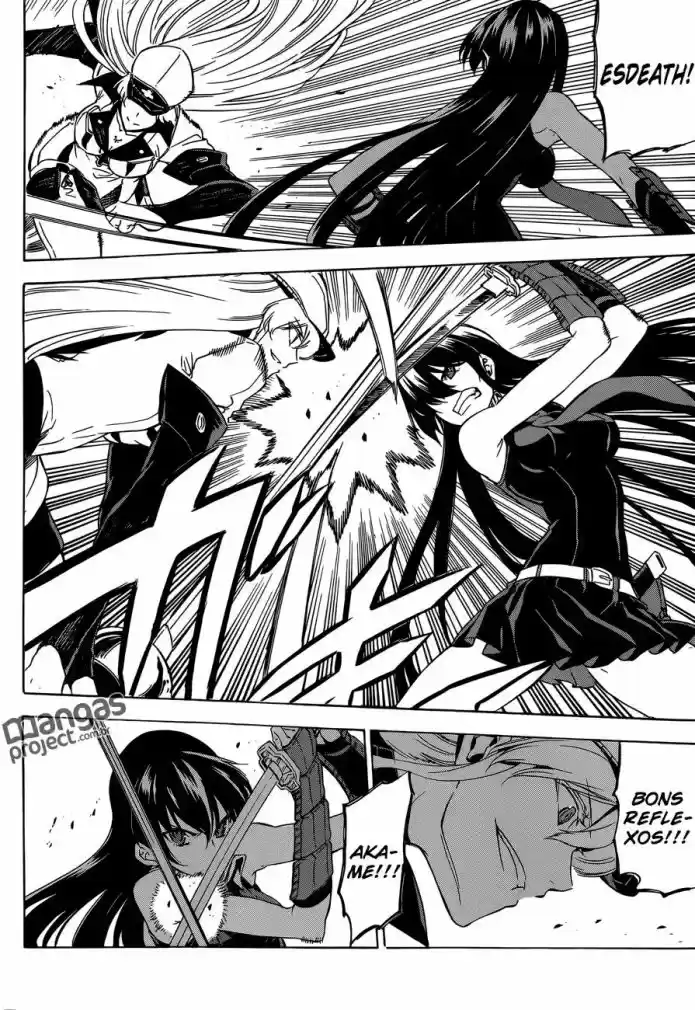 Read Akame ga Kill (pt) Manga Online