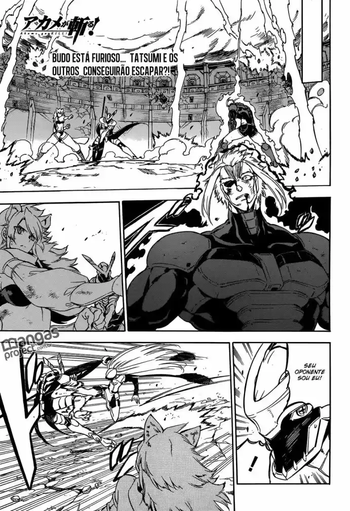 Read Akame ga Kill (pt) Manga Online