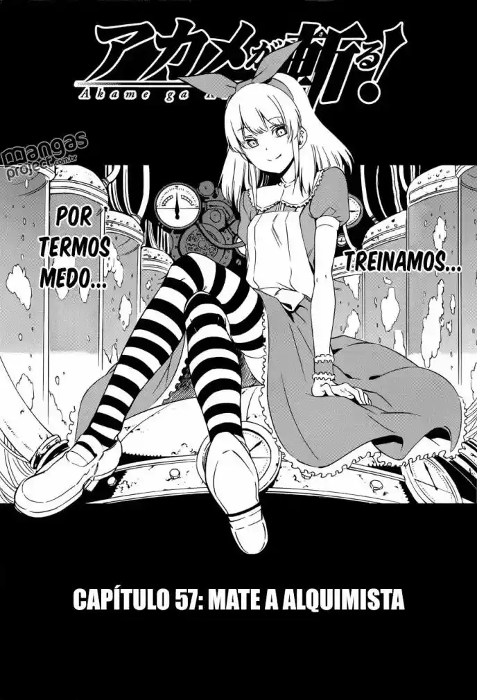 Read Akame ga Kill (pt) Manga Online