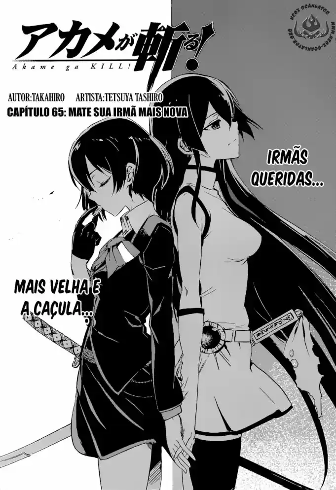 Read Akame ga Kill (pt) Manga Online