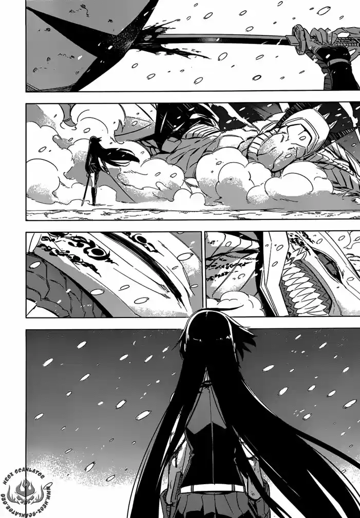 Read Akame ga Kill (pt) Manga Online