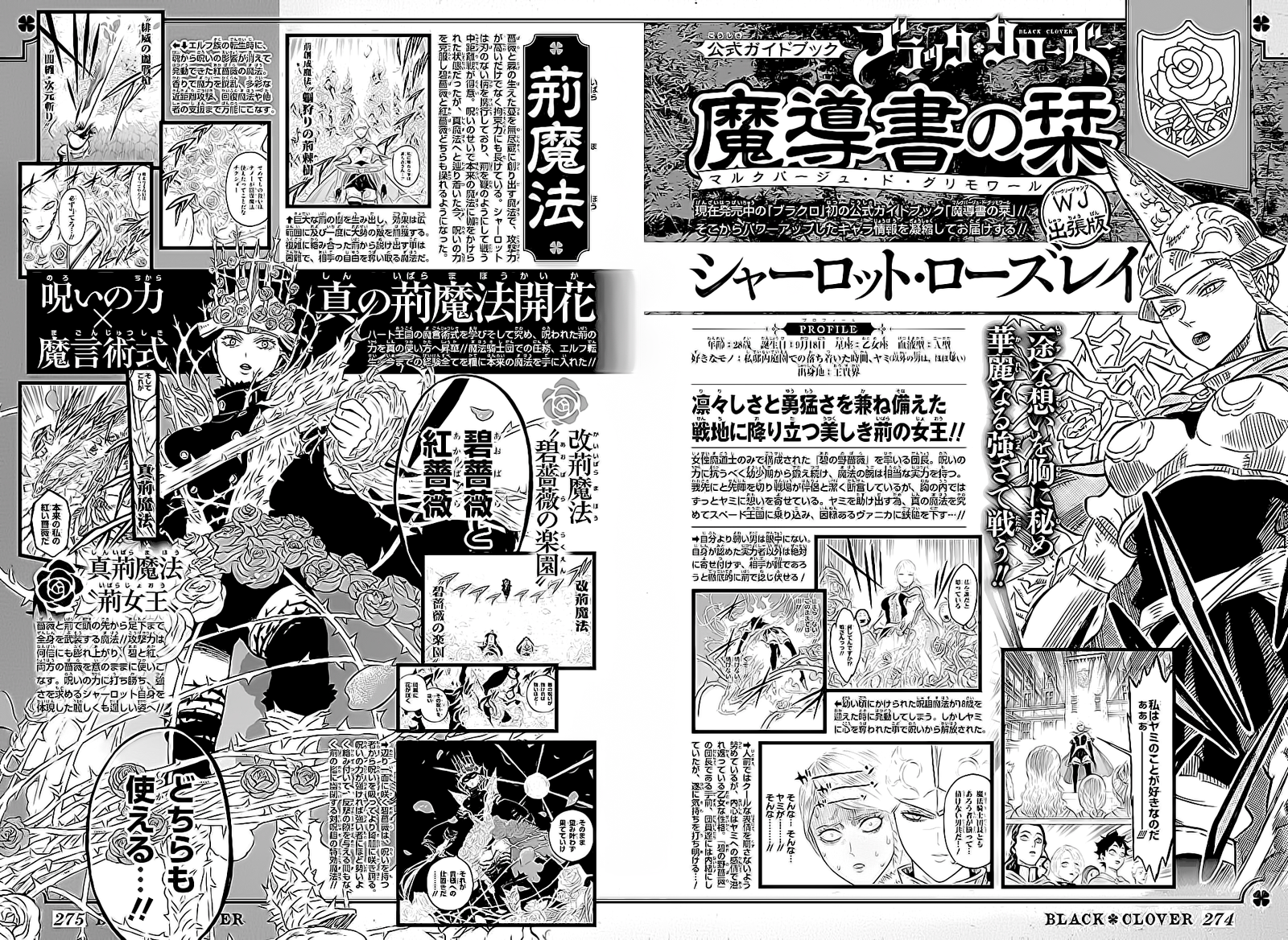 Read Black Clover (pt) Manga Online